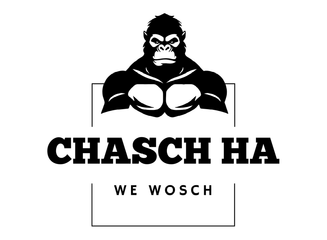 Logo der Chasch Ha GmbH
