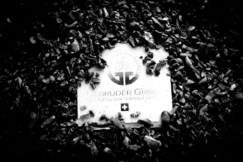 Gebrüder Grimm, Webdesign
